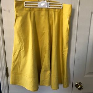 Lane Bryant skirt
